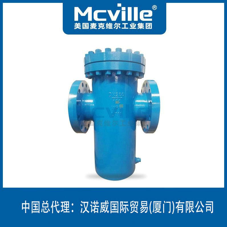 進(jìn)口籃式過濾器