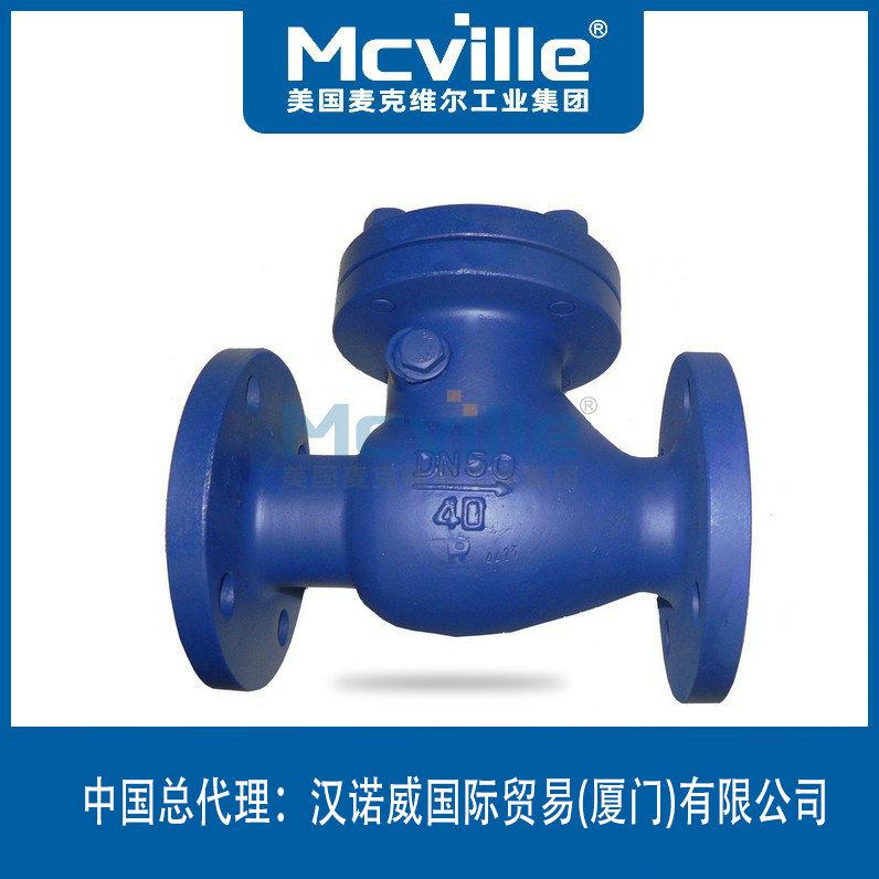 進(jìn)口旋起式止回閥