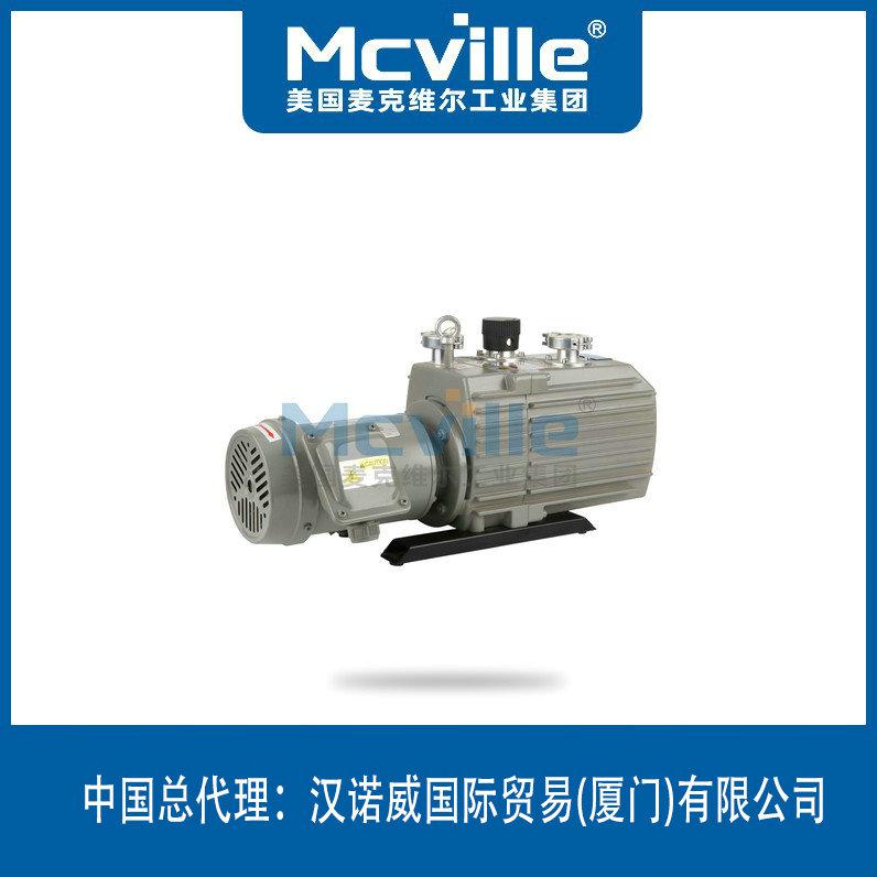 進(jìn)口雙級旋片式真空泵