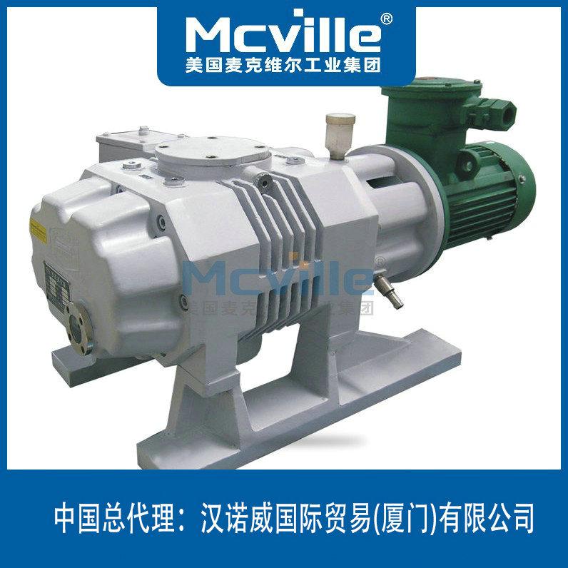 進口帶溢流閥羅茨真空泵