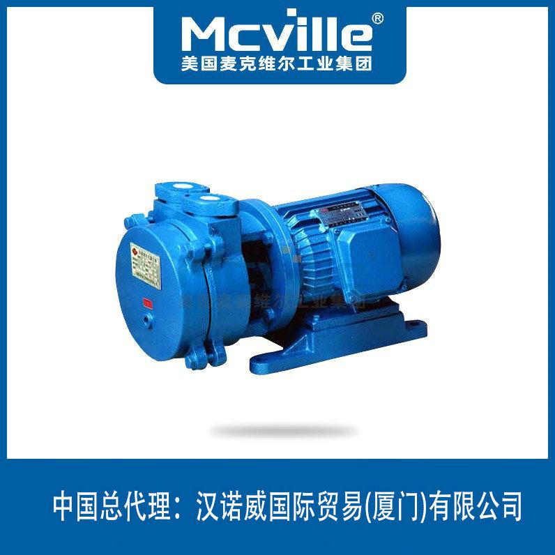 進(jìn)口直聯(lián)水環(huán)式真空泵