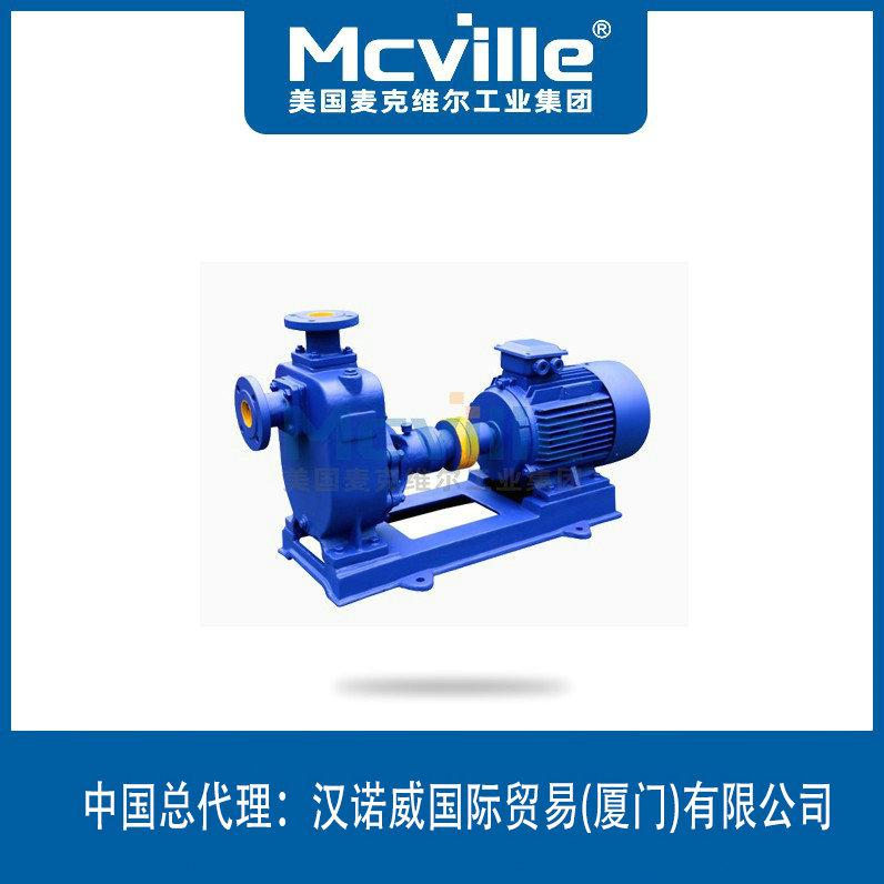 進(jìn)口臥式自吸化工泵