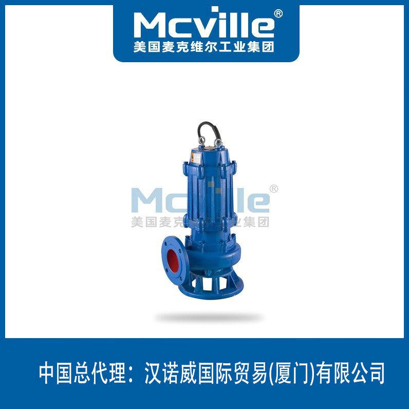 進(jìn)口無(wú)堵塞移動(dòng)式潛水泵