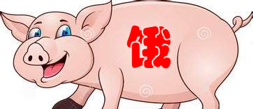 一天三頓改一頓，物流阻飼料缺導(dǎo)致湖北種豬被限食