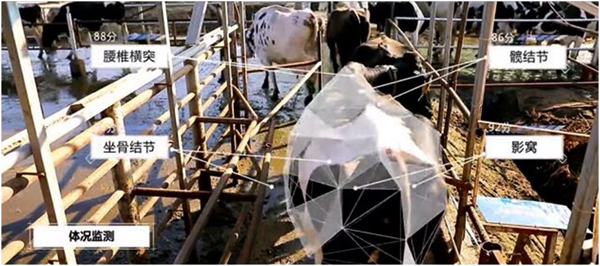 數(shù)字科技助力養(yǎng)殖業(yè)復(fù)工 京東數(shù)科AI養(yǎng)牛促安全生產(chǎn)