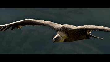 視頻：十大出口總額排名，中國穩(wěn)居榜首！