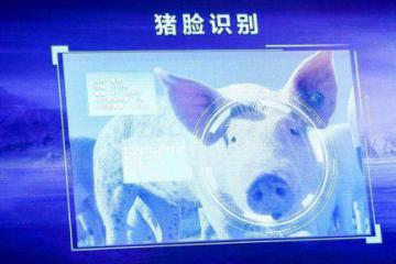 京東抗疫、扶貧成果顯著，“新基建”助力扶貧攻堅彎道超車