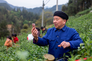 換個(gè)賽道求發(fā)展：去線上，去直播（下篇）