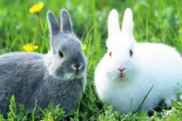 產(chǎn)業(yè)帶動(dòng)就業(yè)  就業(yè)促進(jìn)產(chǎn)業(yè)