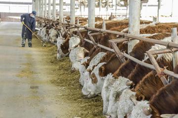 人民網(wǎng)新電商研究院發(fā)布《疫情之下線上肉品銷售迎來新發(fā)展報(bào)告》