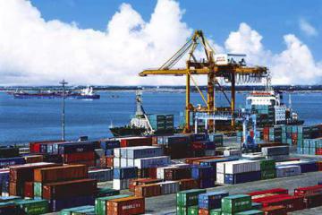 兩條腿走路，寒潮之下外貿(mào)人奮力突圍