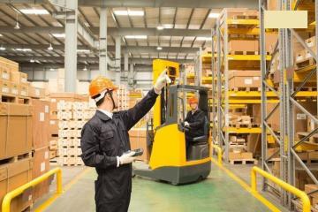 菜鳥已不是菜鳥