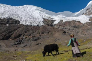 在你們貧困潦倒的11月，祝生活愉快！快遞站長東北口音喊話走紅