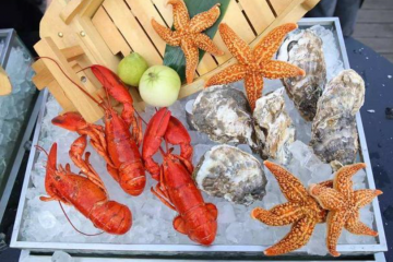 今年春節(jié)會不會跟去年一樣，封路，封村，封城？