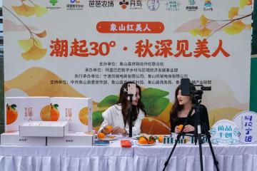 阿里巴巴這個重大升級，將為你的家鄉(xiāng)帶來什么新機(jī)會？