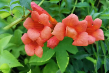 電商物流倉儲項目規(guī)劃要點