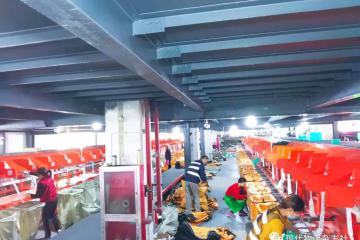 智能“分揀員”如何挑肥揀瘦？