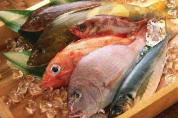 農(nóng)批市場與冷鏈企業(yè)轉(zhuǎn)型升級高質(zhì)量發(fā)展的突破路徑