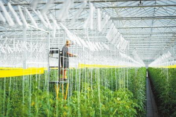 萬鋼：新一代人工智能發(fā)展呈現(xiàn)三個新態(tài)勢