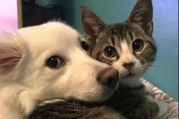 快遞安全的“三大法則”