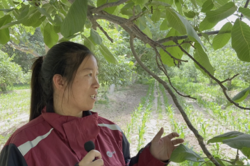 【原創(chuàng)】快遞物流進村，怎樣做到沉下去，待得住