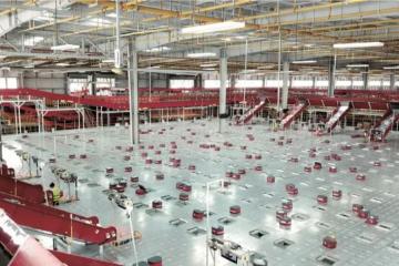 視頻：神奇！這種機器人，一次載重半噸，每小時1.8萬件