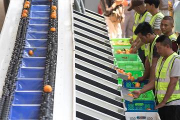 五分鐘迅速了解MRP和ERP系統(tǒng)