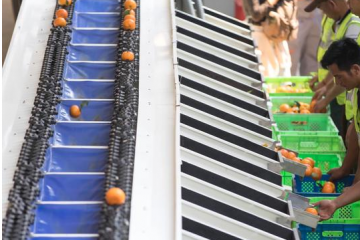 中國社科院發(fā)布快遞進村主題報告