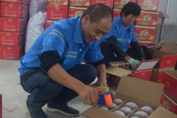 “快遞進(jìn)村”顯成效農(nóng)村快遞量增速超過城市