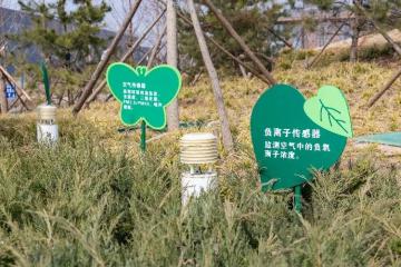 以“數(shù)”為基，京東科技服務(wù)雄安新區(qū)“人城數(shù)”協(xié)同發(fā)展