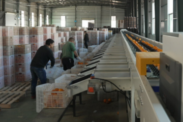 菜鳥：物流科技領頭羊的三重身份