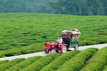 兩部門：推動冷鏈物流服務網(wǎng)絡向農(nóng)村延伸
