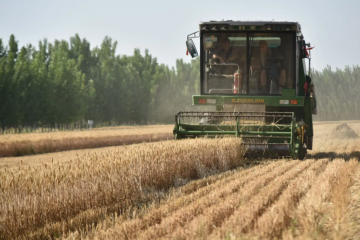 貨運(yùn)物流持續(xù)恢復(fù)向好