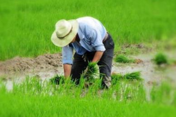 江門冷鏈產(chǎn)業(yè)園扶農(nóng)助農(nóng)，助力鄉(xiāng)村振興