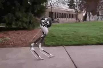 發(fā)展人形機(jī)器人，中國(guó)有優(yōu)勢(shì)嗎？