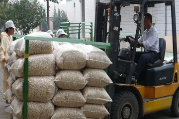 冷庫貨架如何適應冷庫倉儲需求？