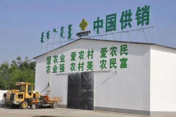 供銷社概念股強勢漲停，消費股集體大跌