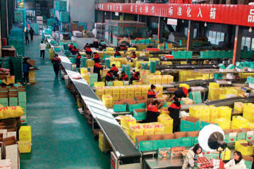 快遞全流程服務(wù)，延安蘋果紅了