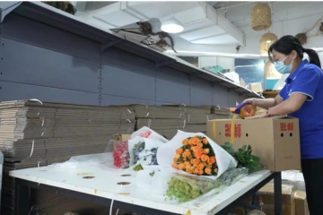 行業(yè)龍頭出海競(jìng)逐國(guó)際市場(chǎng) 快遞業(yè)打響國(guó)際航空貨運(yùn)網(wǎng)絡(luò)“空戰(zhàn)”