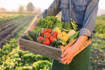 2023年，生鮮電商怎么開局？