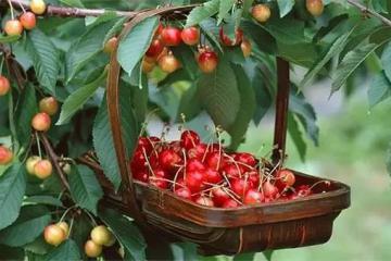 《法制日報》一線探訪：快遞末端“病”在哪兒？