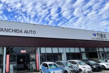 我賣“電動(dòng)爹”，一年賠了30萬(wàn)