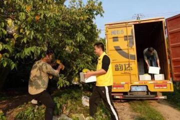 2023年4月份物流業(yè)景氣指數(shù)顯示：業(yè)務(wù)活動保持擴張態(tài)勢 向好基礎(chǔ)繼續(xù)鞏固