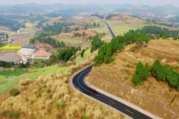 夏收拉開序幕，機械化助力農(nóng)業(yè)生產(chǎn)降本增效