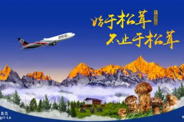 松茸大戰(zhàn)！“最強玩家”來了