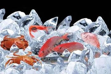 2022年中國冷鏈物流百強企業(yè)榜單揭曉：順豐第一，京東物流第三