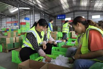 如何釋放農(nóng)村家居消費(fèi)潛力？如何優(yōu)化縣域流通網(wǎng)絡(luò)和渠道？商務(wù)部答記者問(wèn)