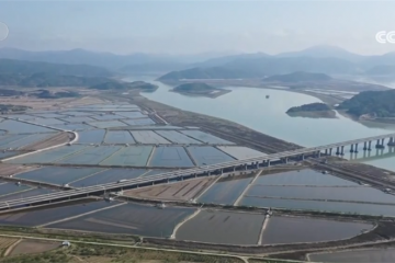 新型融合基礎(chǔ)設(shè)施建設(shè)取得積極進(jìn)展 綠色物流蓬勃發(fā)展