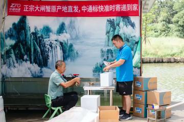 與順豐正面對(duì)決？中通標(biāo)快全力“搶食”大閘蟹