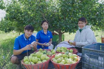 新疆中通網(wǎng)點(diǎn)的“生意經(jīng)”：駐點(diǎn)攬收，日發(fā)香梨2萬單